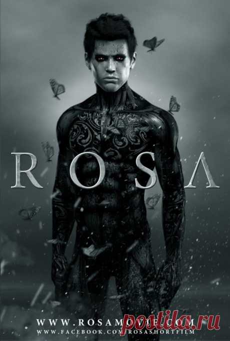 Шикарный визуал в анимации Rosa