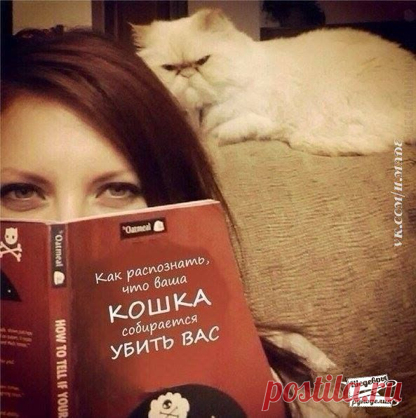 Шедевры рукоделия