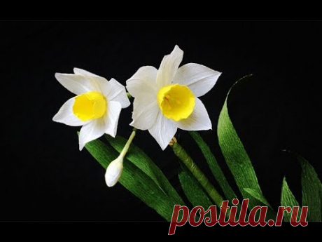 The daffodil is a common flower, and everyone knows that it is. This is a great flower that people love to get because it is such a pretty flower and one tha...
