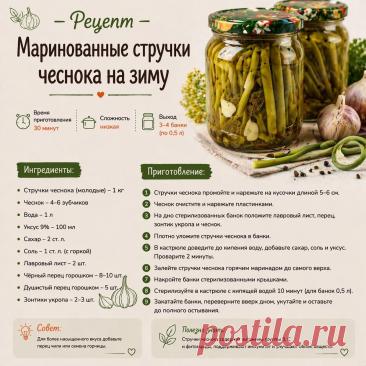 Маринованные стручки чеснока на зиму