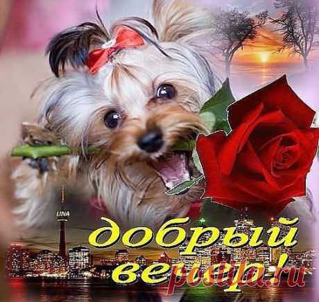 Пусть настроение &quot;улыбнется&quot;!