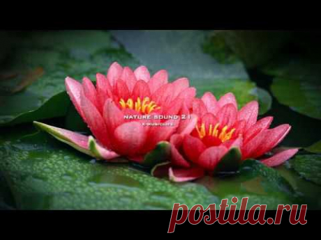 Nature Sound 21 - RAIN SOUND / THE MOST RELAXING SOUNDS -