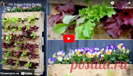 Видео:* DIY Veggie Pallet Planter