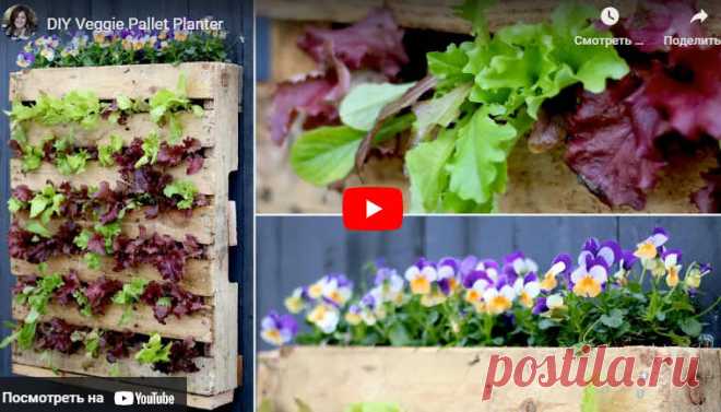 Видео:* DIY Veggie Pallet Planter