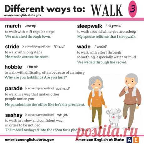 Английский | English for everyone