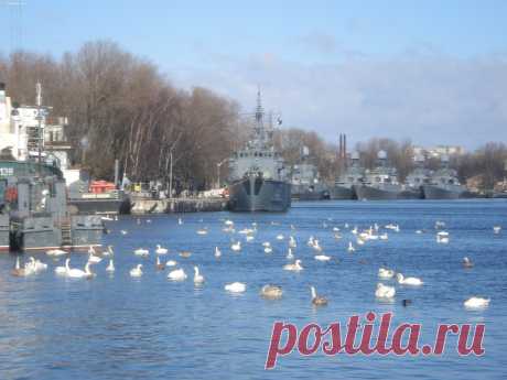 Балтика (моря, озера. реки)