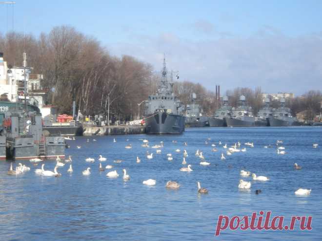 Балтика (моря, озера. реки)