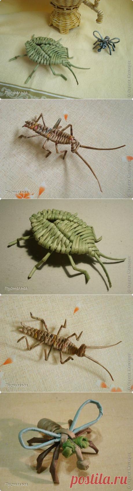 Клопы, мухи и тараканы. Избавляемся? Нет, плетем из газет).