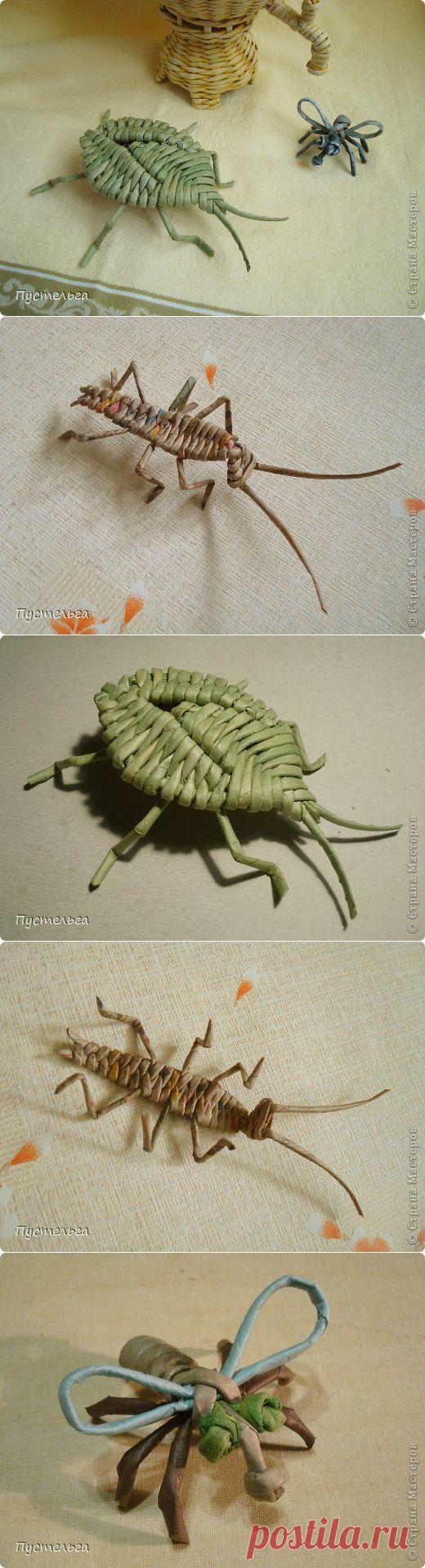 Клопы, мухи и тараканы. Избавляемся? Нет, плетем из газет).