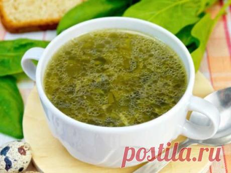 Блюда из ревеня — 20 полезных и вкусных рецептов приготовления