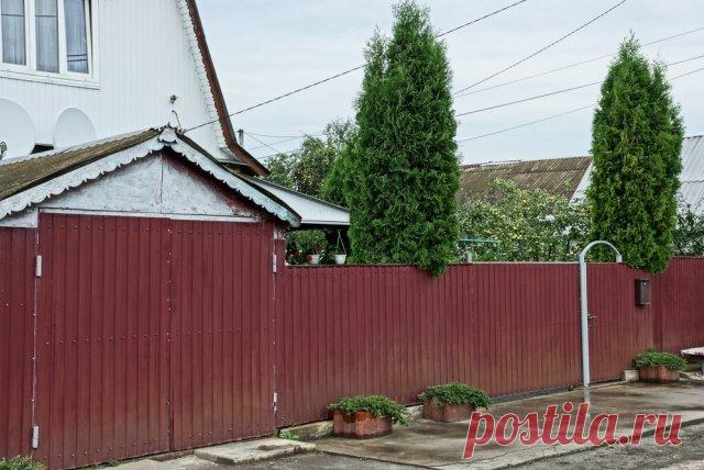 Где построить дом и баню, поставить теплицу и туалет – все о планировании на участке (фото, схемы) | Постройки на участке (Огород.ru)