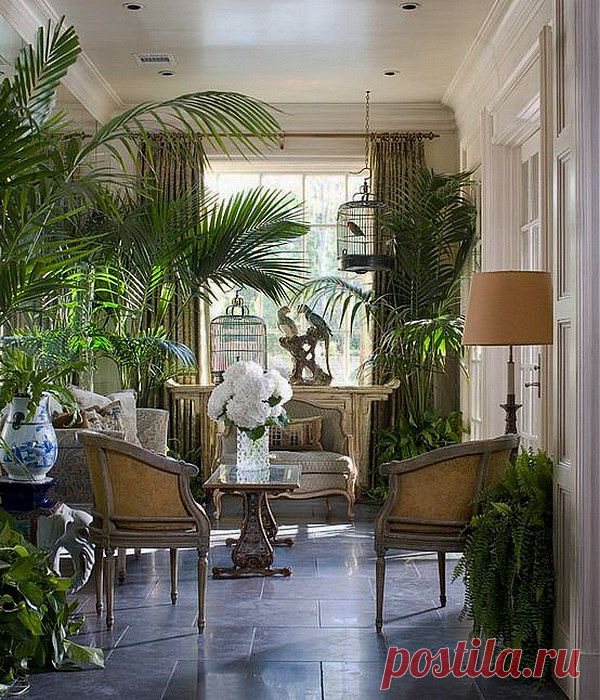 Комнатные растения в интерьере
