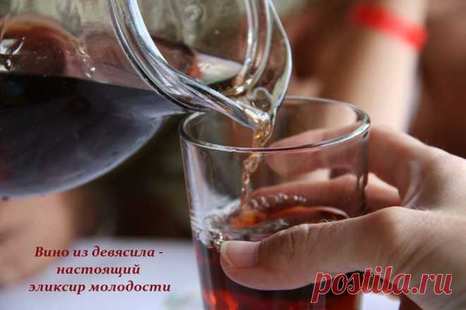Вино из девясила - готовим настоящий эликсир молодости