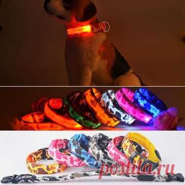 L домашних собак светодиодный ошейник нейлона безопасности Light-Up мигает воротником at Banggood