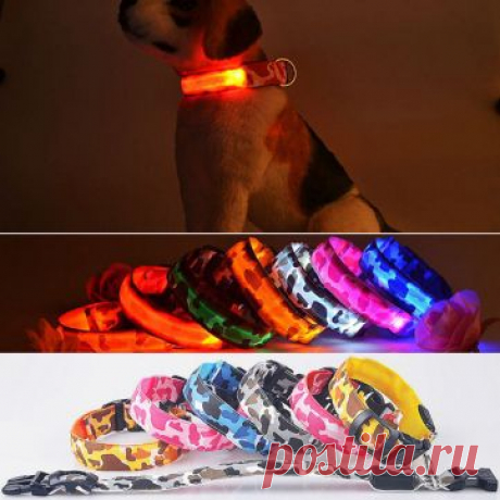 L домашних собак светодиодный ошейник нейлона безопасности Light-Up мигает воротником at Banggood