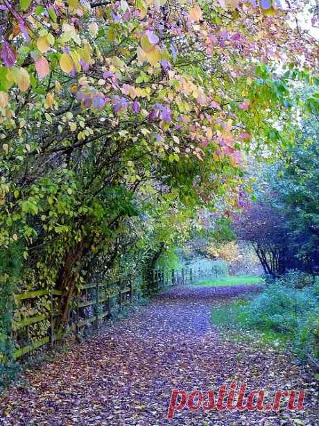 Woodland Path, Watermead Country Park, England | Amazing Pictures - Amazing Pictures, Images, Photography from Travels All Aronud the World