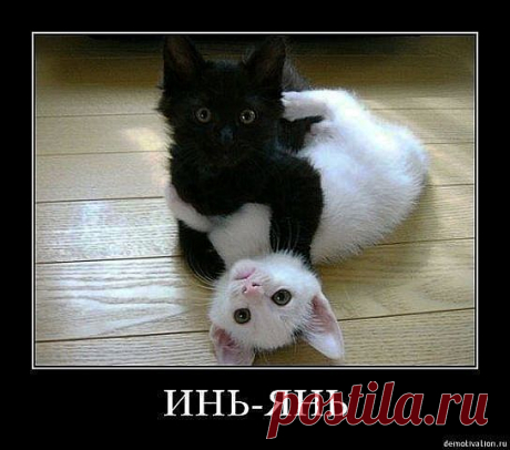Мой Мир@Mail.Ru