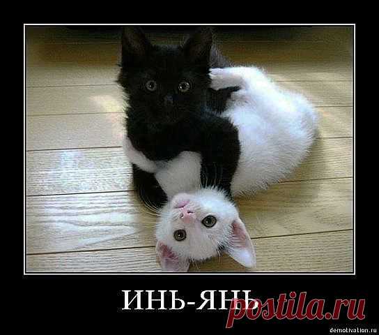 Мой Мир@Mail.Ru