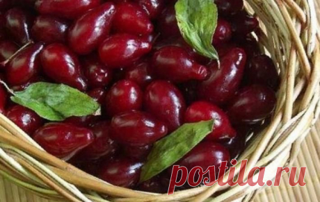 Консервированный компот из кизила