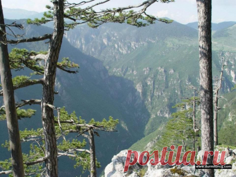 (7) Природне љепоте Дурмитора