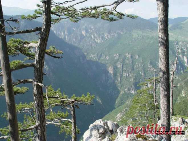 (7) Природне љепоте Дурмитора