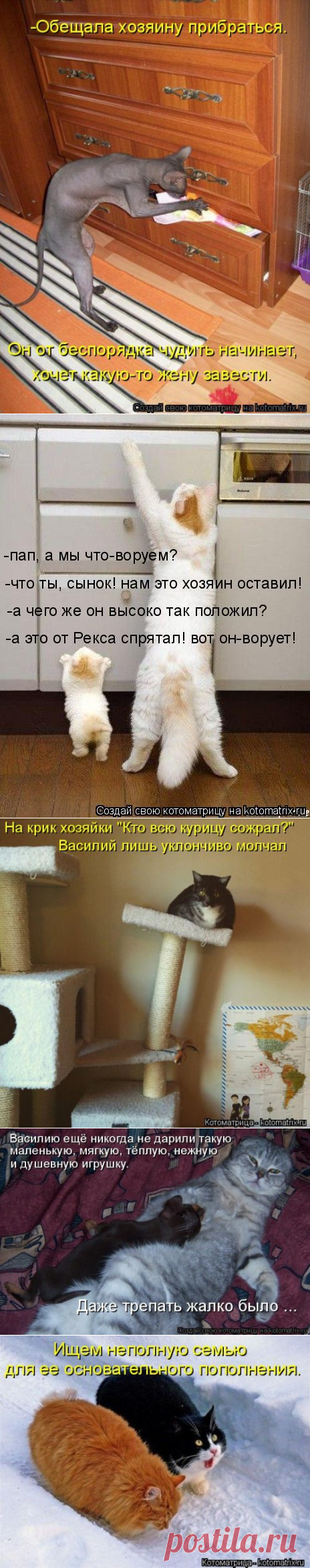 Свежая котоматрица