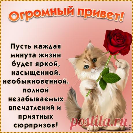 Картинка Душевный приветик тебе