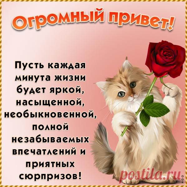 Картинка Душевный приветик тебе