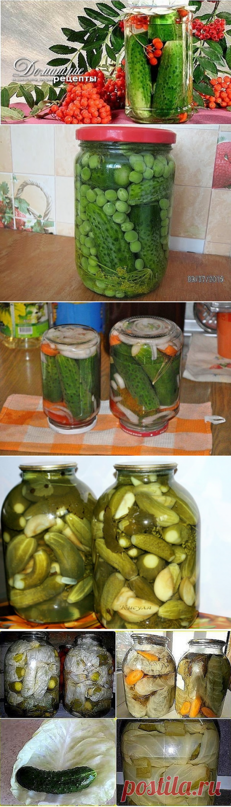 25 баночек:
1. Огурцы с яблоками (маринованные и малосольные)
2. Огурчики "Болгария отдыхает"
3. Огурцы по-корейски на зиму
4. Салат "Кубанский"
5. Набор для "Оливье"
6. Огурчики "Чили"
7. Огурцы в капустных листьях
8. Огурцы в собственном соку
9. Огурцы, которые никогда не взрываются
10. Огурцы по-бердычевски - очень ароматные и очень красивые
11. Огурцы "Злодейские"
12. Салат из огурцов «Аппетитная закусочка»
13. Малосольные огурцы быстрого приготовления
14. Ог