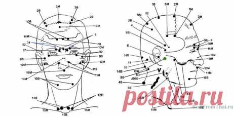 Акупунктура и акупрессура активных точек головы