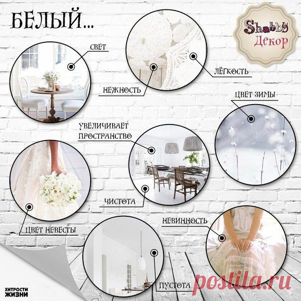 Хитрости жизни