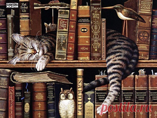 Значения большинства известных фраз и выражений