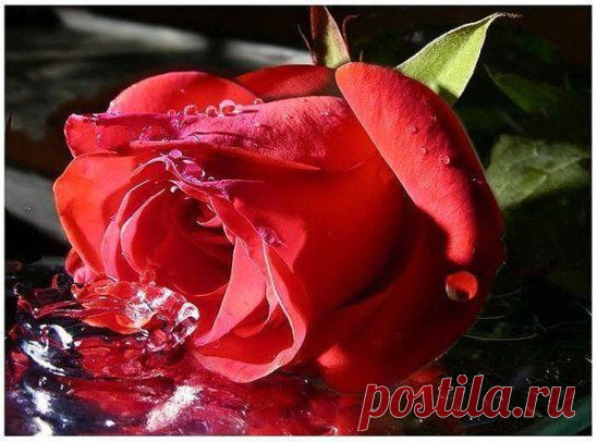 (99+) Одноклассники