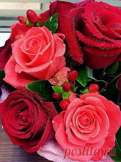 (10) Pinterest