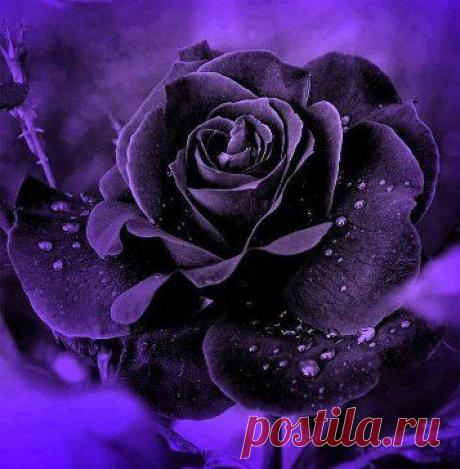 ❤❤❤ Валентина Николаевна❤❤❤ добавила фотографию в альбом Мобильный альбом