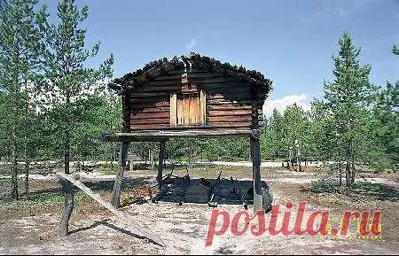 сергей тарасов
57 лет, Россия, г. Лабытнанги (Ямало-Ненецкий АО)