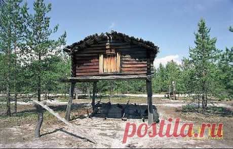 сергей тарасов
57 лет, Россия, г. Лабытнанги (Ямало-Ненецкий АО)