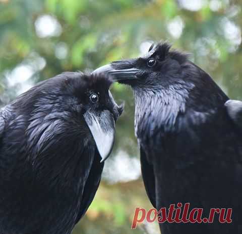 (2) Facebook