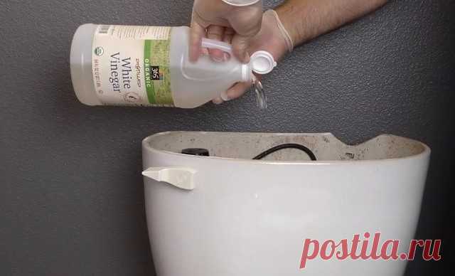 9 непрочитанных чатов