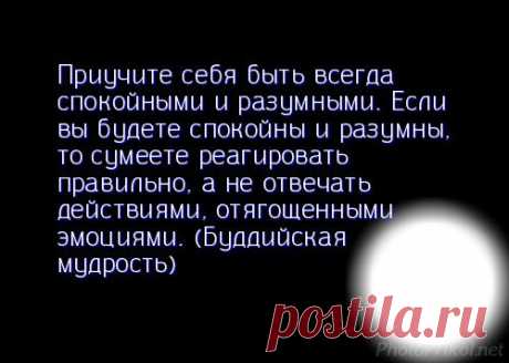 Разумно поражаться всему, что происходит вокруг, всему радоваться, но ничего не принимать слишком близко к сердцу.
Глупо беспокоится о происходящем и обижаться.
