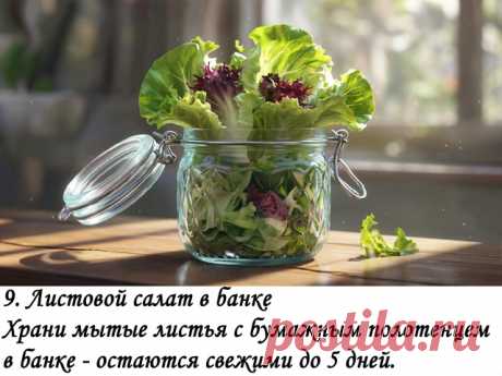 15 кулинарных лайфхаков, которые сэкономят время на кухне летом

Летом стоять у плиты - последнее, чего хочется. Но и питаться на скорую руку не всегда приятно. Вот подборка простых, но эффективных кулинарных лайфхаков, которые помогут готовить быстрее, вкуснее и без лишнего стресса.