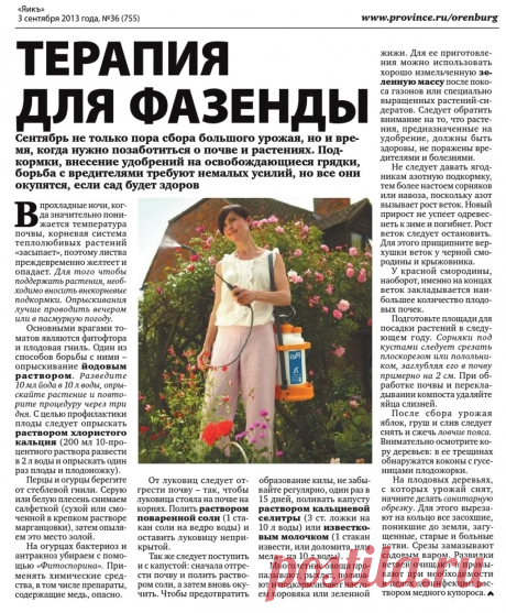 Терапия для фазенды (работа в сентябре)