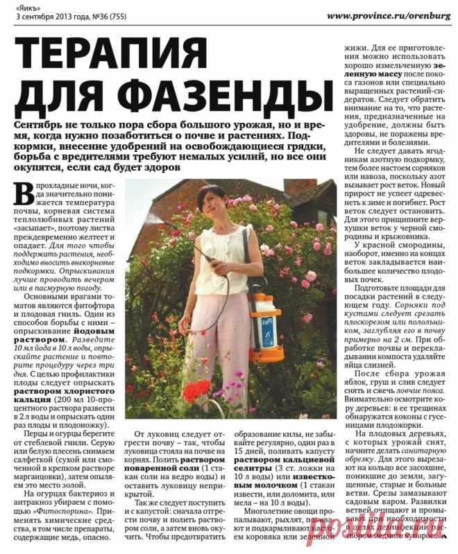 Терапия для фазенды (работа в сентябре)