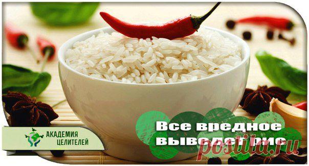 Все вредное выведет рис . Секрет тибетских лам. | В Тебе Есть Свет!