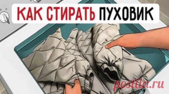 Правила стирки пуховиков в стиральной машине: 7 простых шагов… — Полезные советы