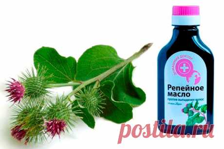 Как сделать маску от выпадения волос с репейным маслом