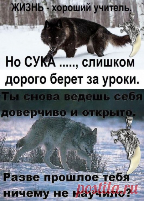 Одноклассники