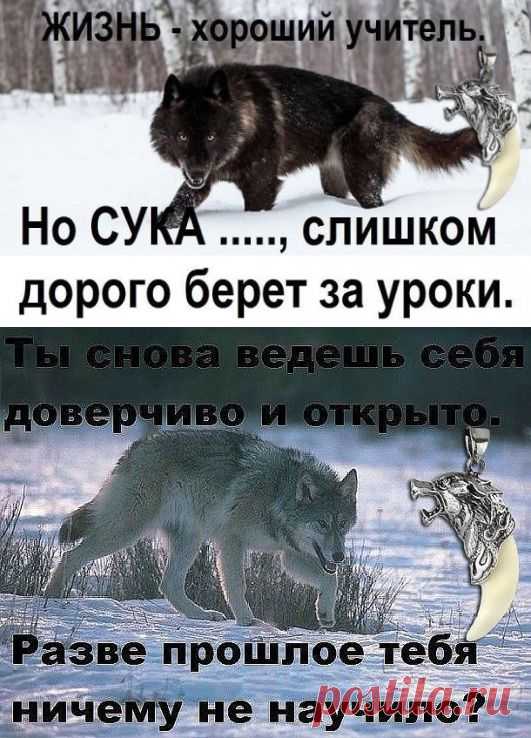 Одноклассники