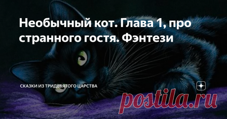Необычный кот. Глава 1, про странного гостя. Фэнтези Глава 1. Гость из прошлого или как Черныш стал говорящим котом.
«Илька! Ты в этом собралась идти на собеседование? А в зеркало пробовала смотреться? У тебя юбка попу еле прикрывает, а шерсть на ногах гуще, чем у меня на загривке», - хвост кота подрагивал от возмущения. Черныш сидел в своем любимом кресле и наблюдал за суетливыми сборами хозяйки.
Илария, и правда, собиралась идти искать новую