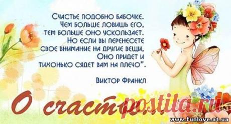 Афоризмы и цитаты о счастье.